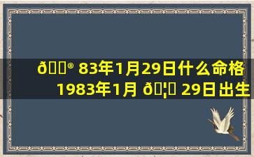 💮 83年1月29日什么命格（1983年1月 🦅 29日出生的人命运）